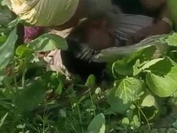 Khet me chudai bhaijan ke sath – Sex videos
