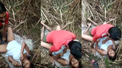 Desi Girlfriend Jungle XXX Porn Video Sharing